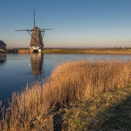 לינה וארוחת בוקר Hoeve 'vlakbij Oost' - - Farm Stables Oosterend (Texel)