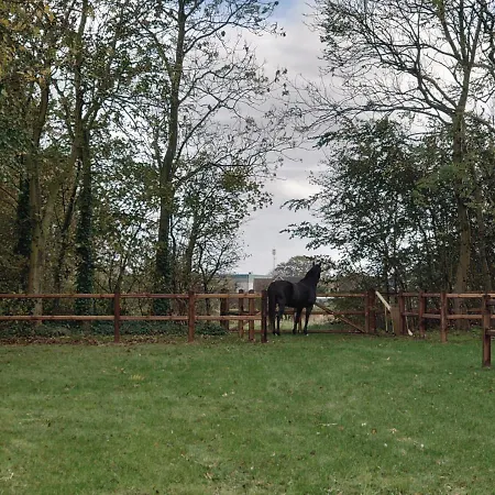 Hoeve 'vlakbij Oost' - - Farm Stables